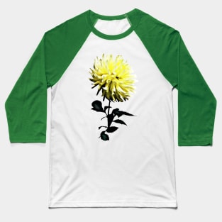 One Yellow Dahlia Baseball T-Shirt